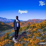 Casey Veggies – 2019 – Organic