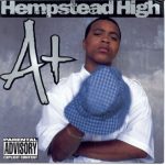 A+ – 1999 – Hempstead High