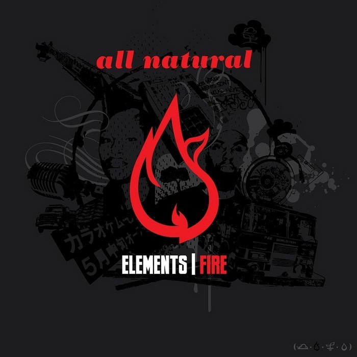 Elements 2008