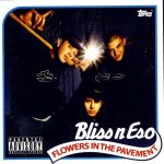 Bliss N Eso – 2004 – Flowers In The Pavement