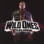 Flo Rida – 2012 – Wild Ones