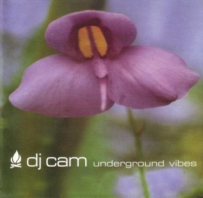 DJ Cam - 1995 - Underground Vibes