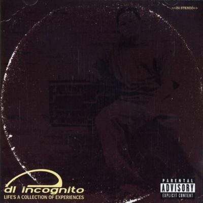 DL Incognito - 2004 - Life's A Collection Of Experiences
