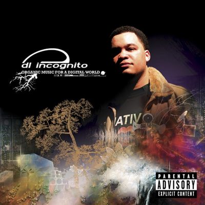 DL Incognito - 2006 - Organic Music For A Digital World