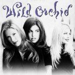 Wild Orchid – 1996 – Wild Orchid