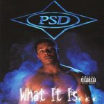 PSD – 1999 – What It Is…
