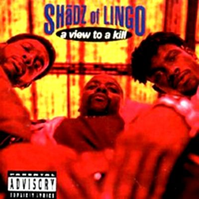 Shadz Of Lingo - 1994 - A View To A Kill