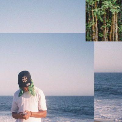 Coolin' Cal - 2021 - Bamboo Boy