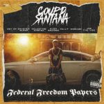 Coup D Santana – 2020 – Federal Freedom Papers