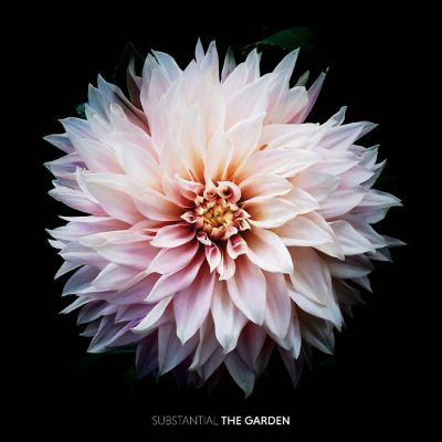 Substantial - 2018 - The Garden
