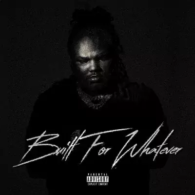 Tee Grizzley - Built For Whatever [Hi-Res]