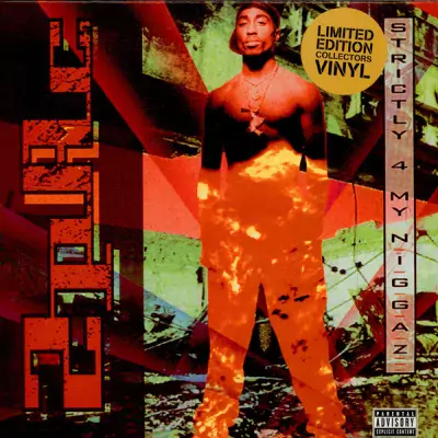 2Pac - Strictly 4 My N.I.G.G.A.Z. (Limited Edition Collectors Vinyl)