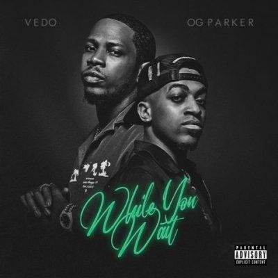 VEDO & OG Parker - 2022 - While You Wait