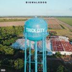 BigWalkDog – 2022 – Trick City
