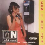 Mad Norm – 1995 – Can I Hit It?
