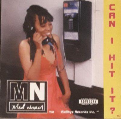 Mad Norm - 1995 - Can I Hit It