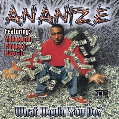 Ananize - 2001 - What Would You Do?