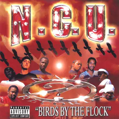 N.C.U. - Birds By The Flock