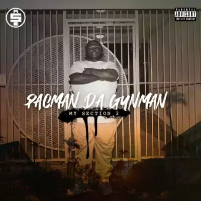 Pacman Da Gunman - My Section 2 EP