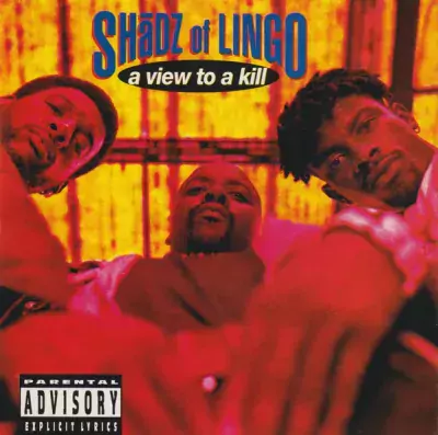 Shadz Of Lingo - A View To A Kill