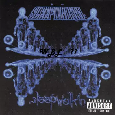 Sleepwalkaz - Sleepwalkin