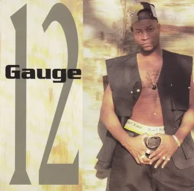 12 Gauge - 12 Gauge