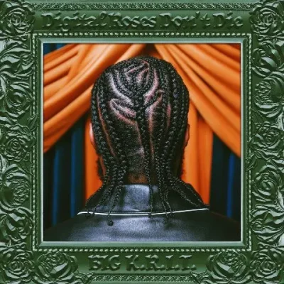 Big K.R.I.T. - Digital Roses Don't Die