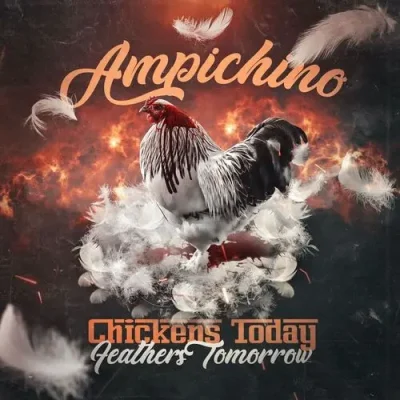 Ampichino – 2025 – Chickens Today, Feathers Tomorrow