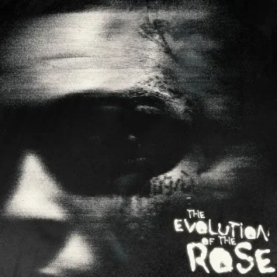 Lil Skies – 2025 – The Evolution Of The Rose