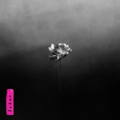 Little Simz – 2025 – Lotus [24-bit / 96kHz]