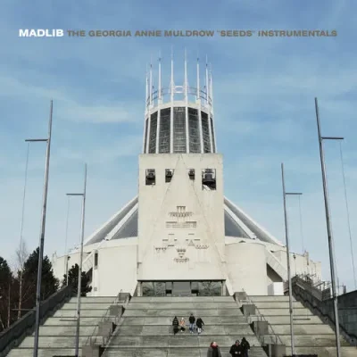 Madlib – 2025 – Seeds (Instrumentals)