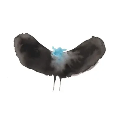 Dälek & Charles Hayward – 2025 – HAYWARDxDÄLEK [24-bit / 96kHz]