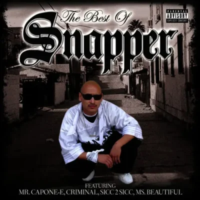 Snapper - The Best of Snapper (2010) Album cover