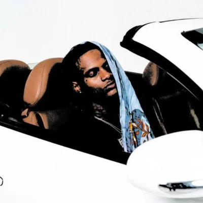 BigBabyGucci - Asleep At The Wheel (2026) Album cover