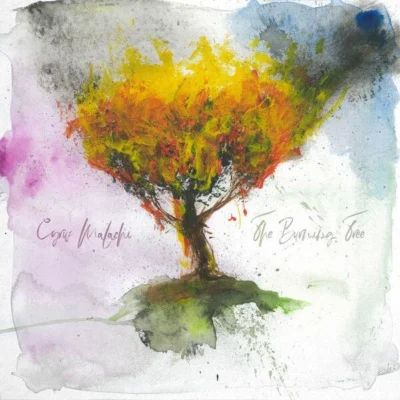 Cyrus Malachi – 2026 – The Burning Tree [24-bit / 44.1kHz]